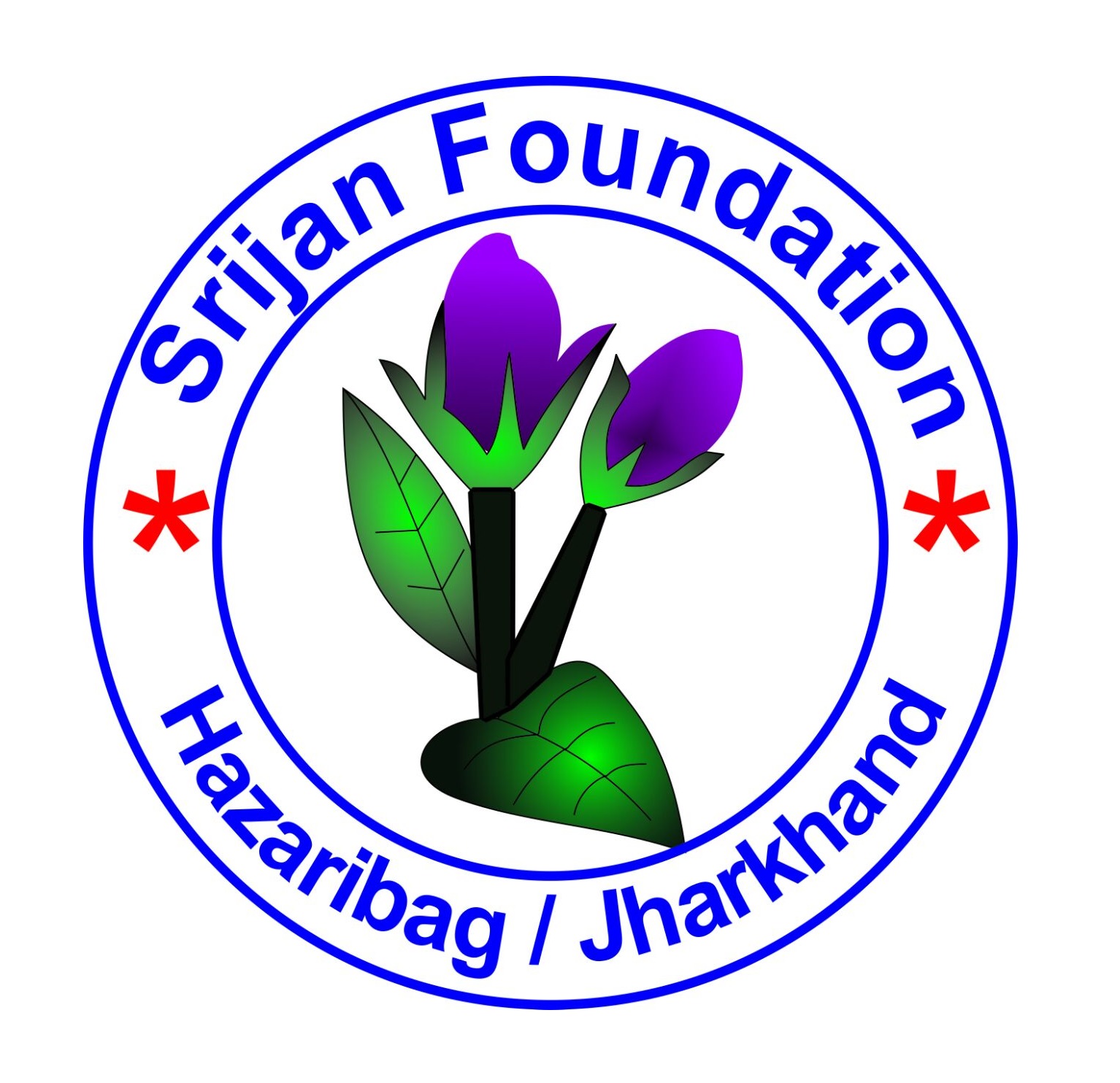 Srijan Foundation